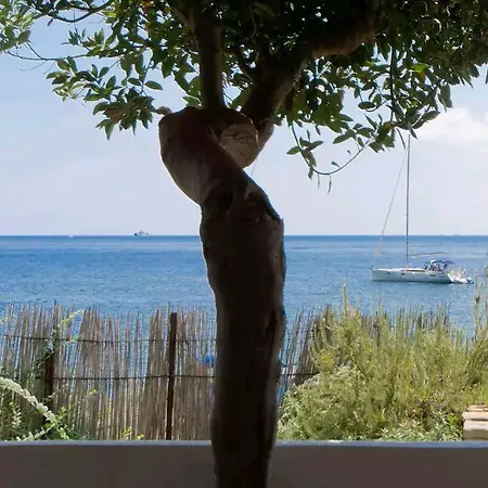 Casa Biscotto Daire *